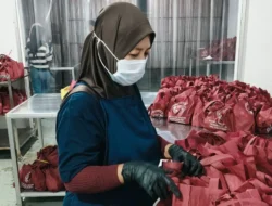 Program MBG Ciptakan Hampir 900 Ribu Lapangan Kerja