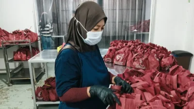 Program MBG Ciptakan Hampir 900 Ribu Lapangan Kerja