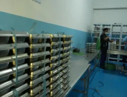 Giliran HIPMI Bulukumba Tolak Penutupan Dapur MBG