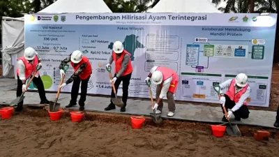 PTPN IV PalmCo siapkan lahan poultry di Paser untuk hilirisasi ayam terintegrasi guna mendukung MBG dan menggerakkan ekonomi rakyat.