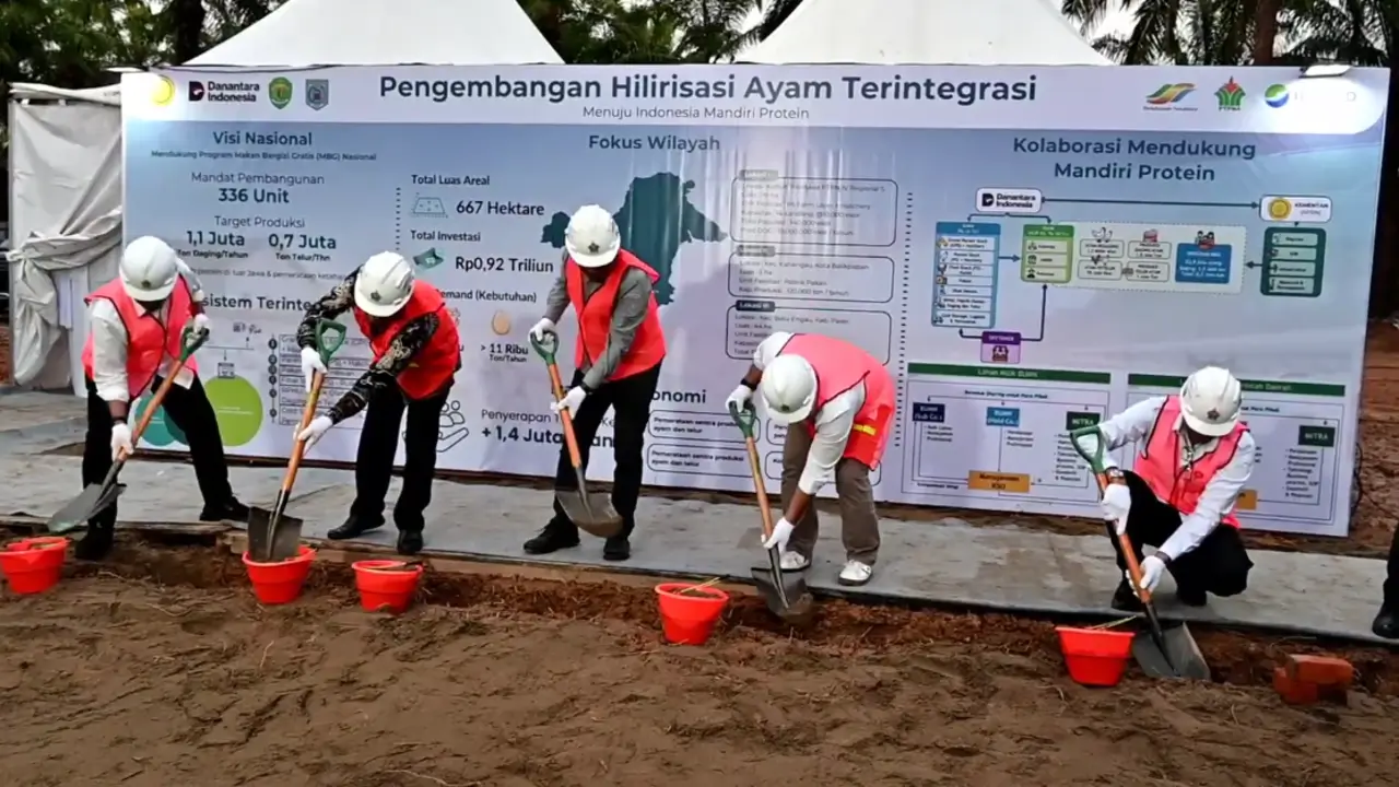 PTPN IV PalmCo siapkan lahan poultry di Paser untuk hilirisasi ayam terintegrasi guna mendukung MBG dan menggerakkan ekonomi rakyat.