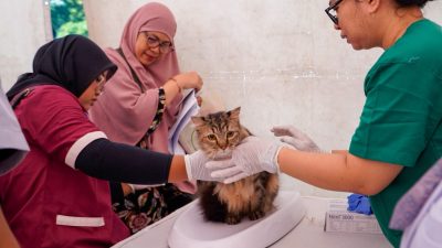 Tergigit Hewan Berisiko Rabies? Jangan Menunggu Gejala, Lakukan Ini Segera