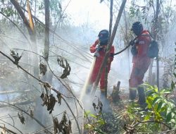 Hotspot Karhutla Anjlok 362 Titik, Kemenhut Peringatkan Ancaman Api Gambut dan Satwa