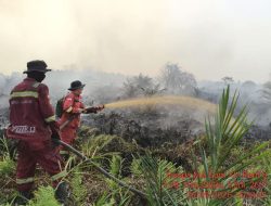 Karhutla Kalsel Melonjak 40 Titik, Jarak Pandang Berasap Kian Memburuk