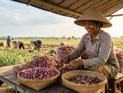 Bawang Merah Brebes Anjlok ke Rp20 Ribu, Harga Kopi Subang Justru Melambung