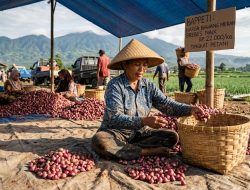 Lonjakan 10 Persen Bawang Merah Brebes Warnai Tren Stabil Komoditas Nasional