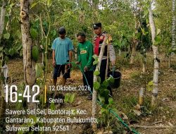Polres Bulukumba Bantu Petani Merica Atasi Dampak Kemarau Panjang