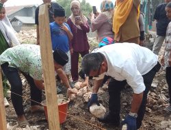 Bupati Bulukumba Resmikan Pembangunan Masjid Gunawan Residen